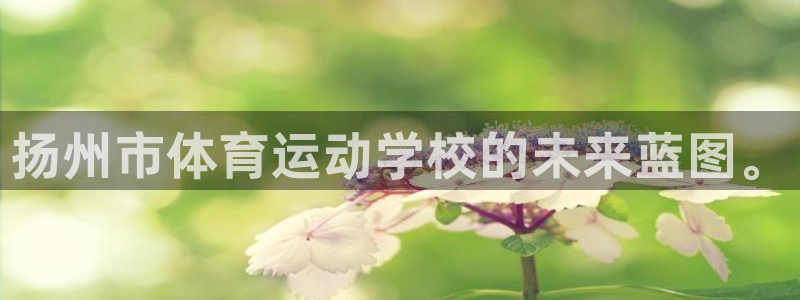 意昂新能源汽车科技有限公司