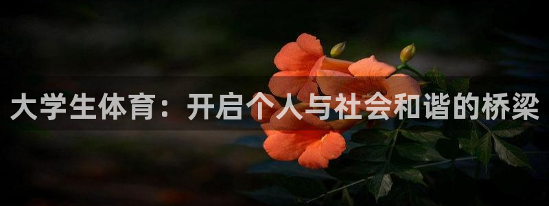 蓝图娱乐凯捷平台注册链接
