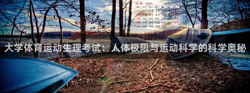 蓝图娱乐3代理
