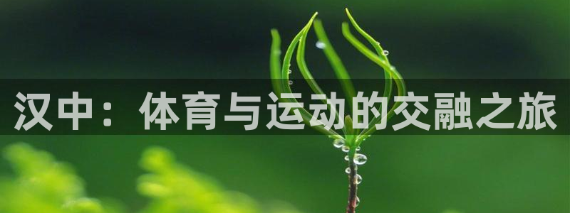 成都蓝图娱乐电子有限公司