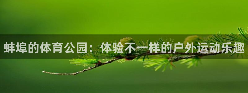 蓝图娱乐体育代理申请流程